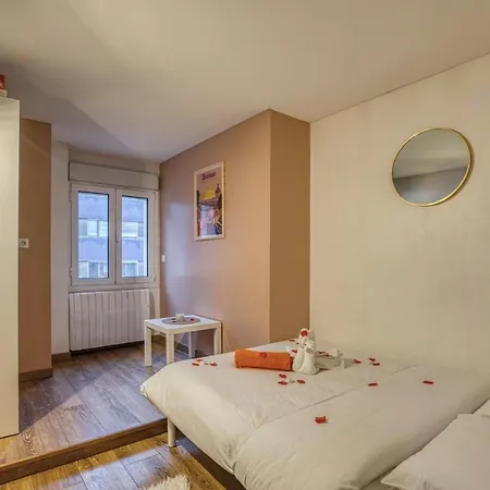 Spacious And Cosy Flat * アヌシー